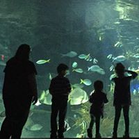 Chris Lovelace Photo 27