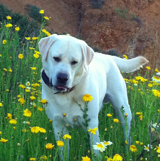 Kathryn Jennings Photo 17