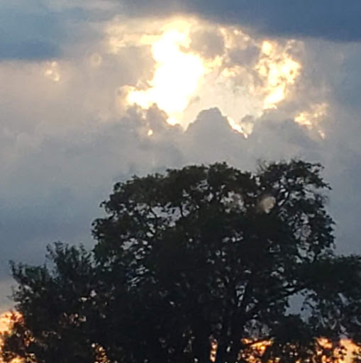 Mandy O'Connor Photo 3