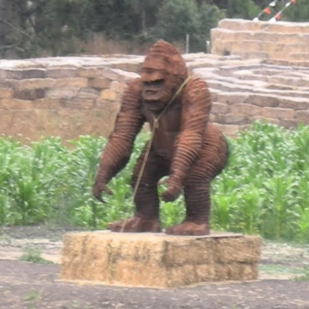 Cody Atkinson Photo 4