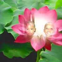 Julius Graham Photo 5