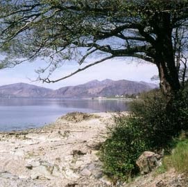 Jamie Pierce Photo 33