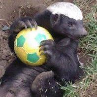 Shannon Mackay Photo 17