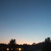 Kathleen Kesler Photo 9