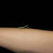 Cheryl Bruce Photo 16