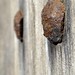 Rusty Bradford Photo 16