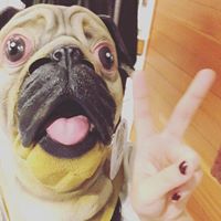 Calvin Cheng Photo 16 Calvin Cheng Photo 16