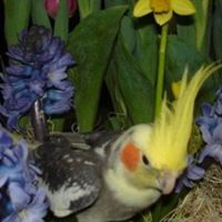 Colleen Wilkinson Photo 7