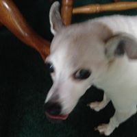 Joanne Duncan Photo 21