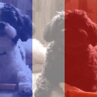 Terri Richards Photo 13