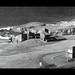 Lawrence Whitaker Photo 10