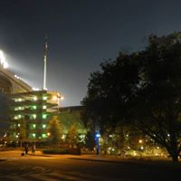 Kelly Hamm Photo 12