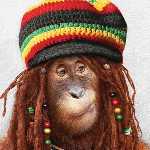 Suzanne Wolf Photo 15