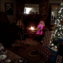 Gwendolyn Anderson Photo 16