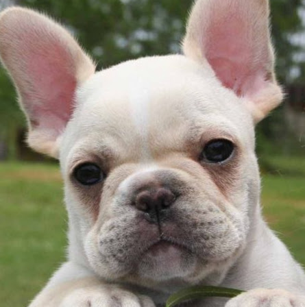 Joy Rodgers Photo 10