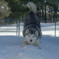 Linda Rector Photo 16