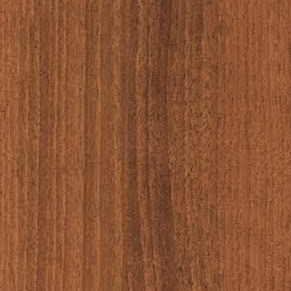 David Harms Photo 40