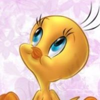 Stephanie Rael Photo 16