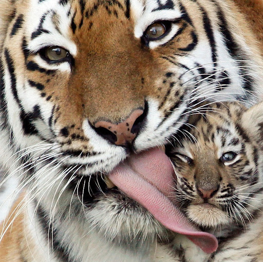 Andrea Hubbard Photo 37