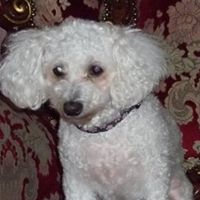 Jose Dasilva Photo 10