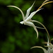 Debra Rosas Photo 15