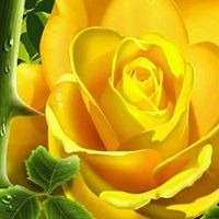 Jenny Kelly Photo 14