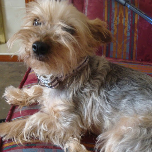 Donna Franks Photo 21