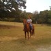 Tanya Phillips Photo 31