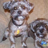 Kathryn Cassidy Photo 23