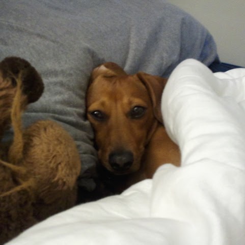 Watson Nichols Photo 3