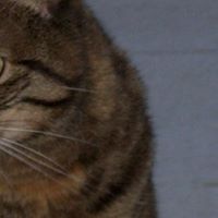 Angela Unger Photo 23