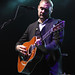 David Brooks Photo 9