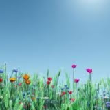 Sandra Rivera Photo 6