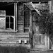 Henry Haskell Photo 14