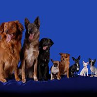 Julie Covert Photo 14