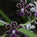 Amy Glynn Photo 19