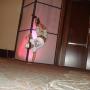Ramona Ramirez Photo 10