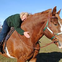 Debbie Merrill Photo 17