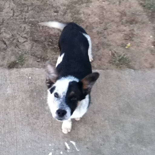 Jacob Roach Photo 17