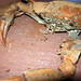 Jill Felton Photo 11