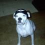 Brian Rhoads Photo 25