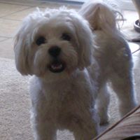 Nancy Montez Photo 14