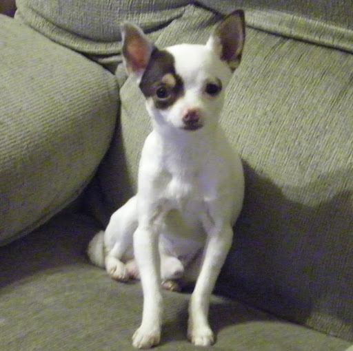 Samuel Nichols Photo 29 Samuel Nichols Photo 29