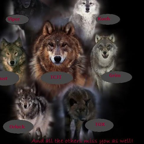 Mike Noland Photo 51