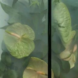 Stefanie Hahn Photo 18