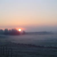 Patricia Roland Photo 22