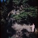 Jean Grainger Photo 22
