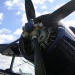 Christopher Frey Photo 45 Christopher Frey Photo 45