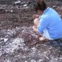 Jennifer Hendricks Photo 22
