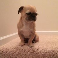 Peter Mistretta Photo 12